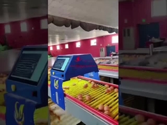 Farmrob 99.8%精度 インテリジェントエッグカウンター 25W 220V 50HZ ISO9001 認定