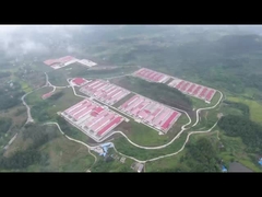 家禽用バッテリーケージシステム