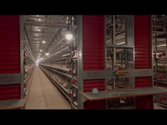 完全に自動型H型 層鶏籠システム 腐食耐性