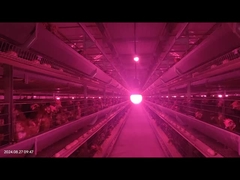 低故障率 鶏飼料システム 精密制御 鶏飼育