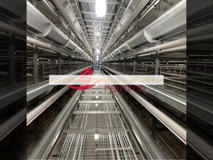 費用対効果の高い層チキンケージシステム Q235 鋼