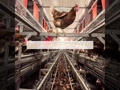 十分な移動プラットフォームを持つ多層ケージフリーシステム