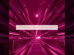 パキスタン農場向け80000羽衛生レイヤー鶏舎システム