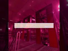 ロシアの養鶏場向け60000羽収容安全レイヤー鶏舎システム、1セルあたり9羽収容、環境に優しい設計