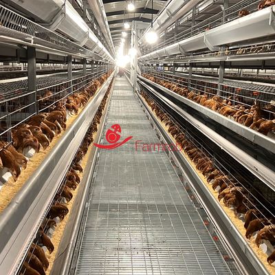 8 Tiers Automatic Feeding System Layer Chicken Cage System with 700mm Story Height for Poultry Farming Equipment